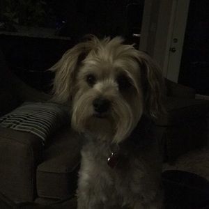 Meet your Posher, Sandra